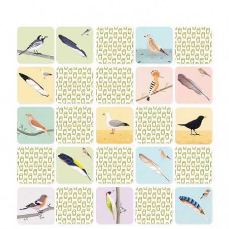 birds and feathers memory game