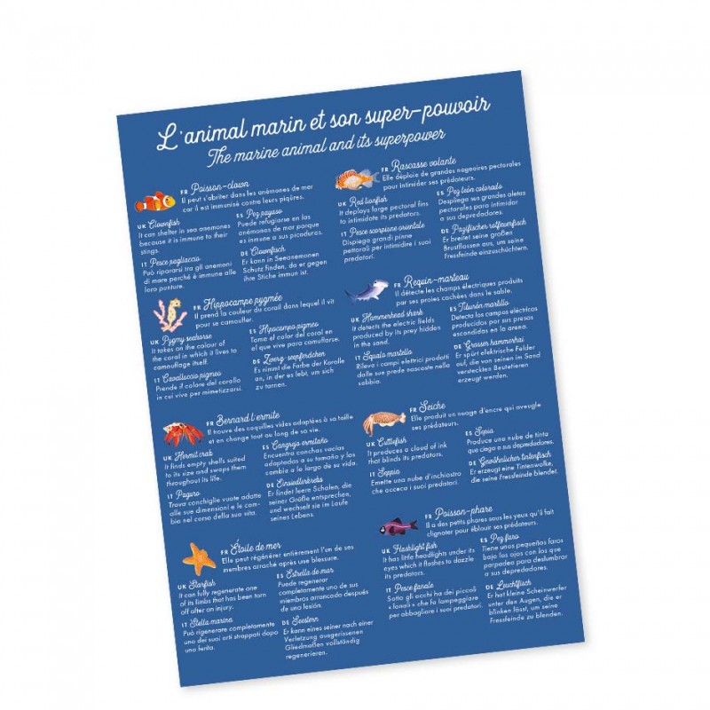 marine animal picture sheet