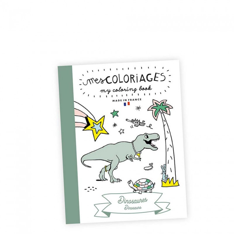 dinosaurs colouring book