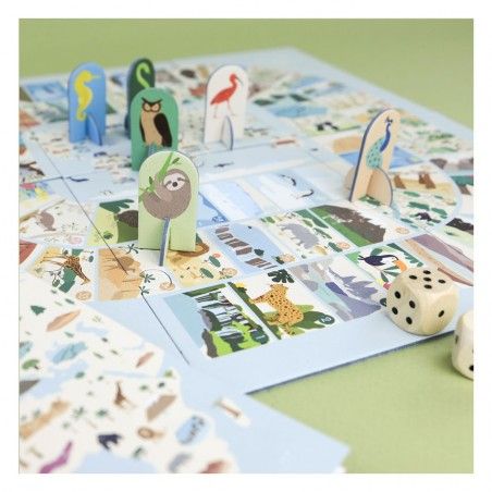 pions animaux jeu société découverte planète