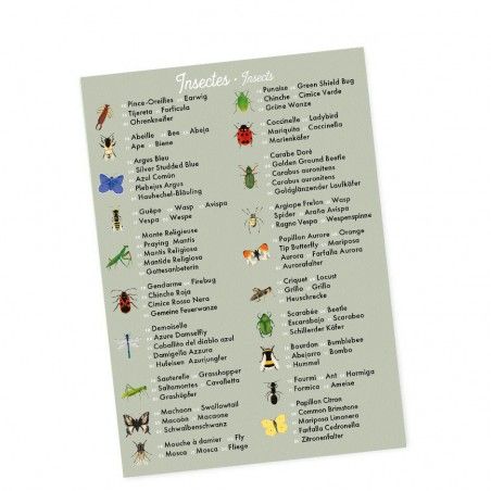 jeu memory fleurs insectes imagier