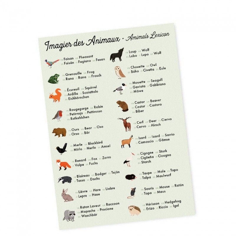 jeu de mémoire animaux empreintes