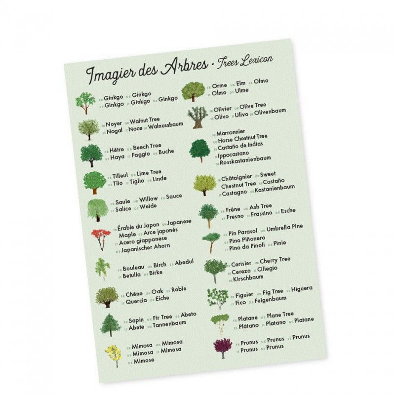 jeu de mémory nature arbre feuille