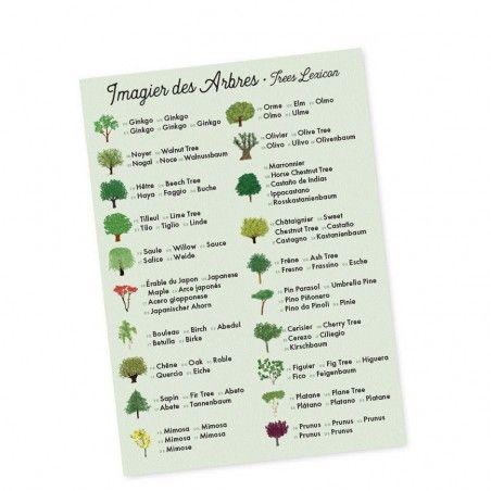 jeu de mémory nature arbre feuille