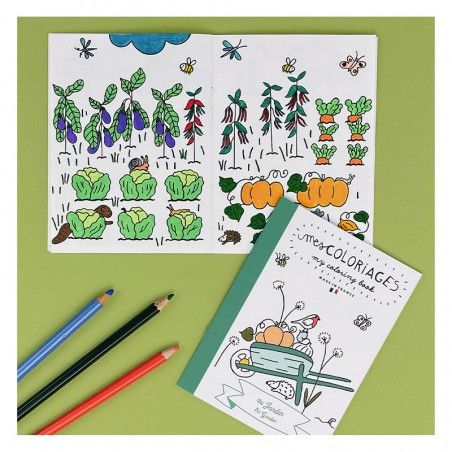 Petit carnet de coloriage pour enfants sur le thème du jardin avec fleurs, insectes et outils de jardinage