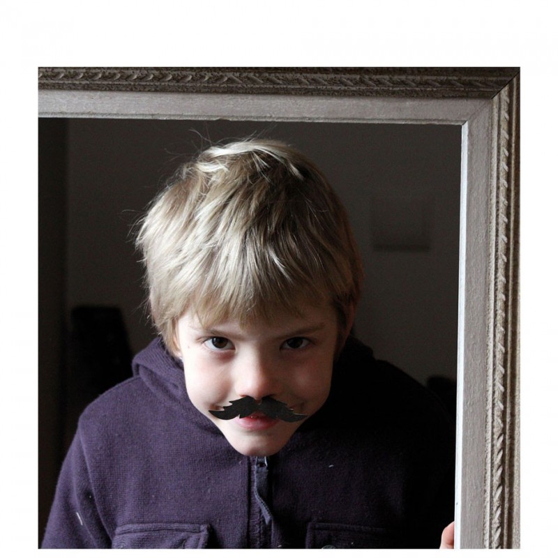 moustaches pastiches carnaval