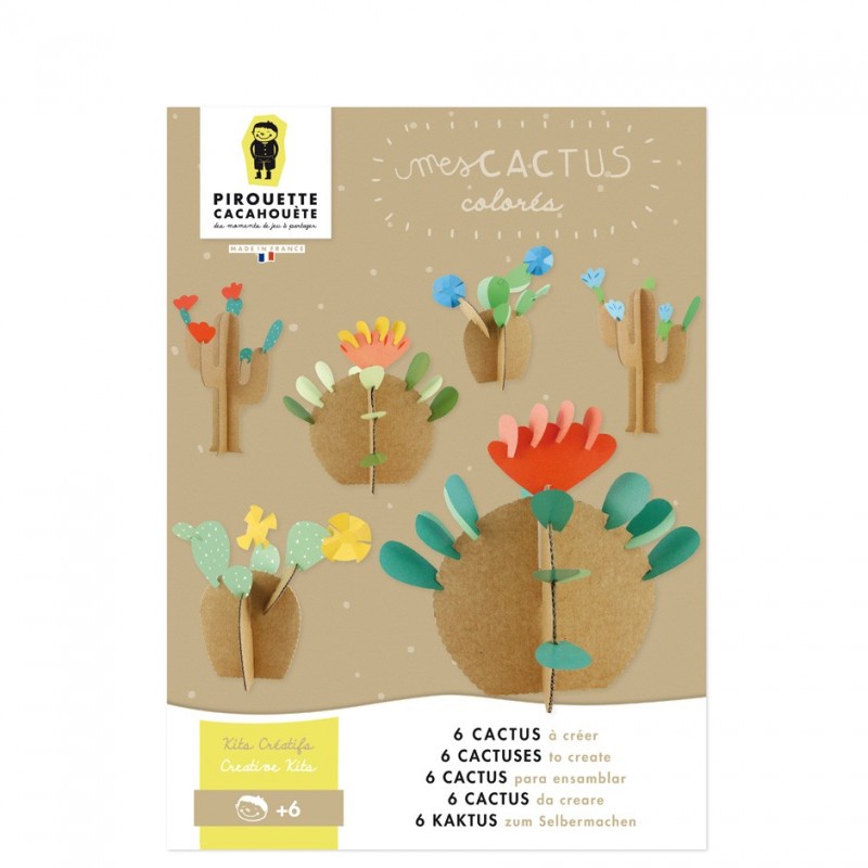 kit creatif diy cactus