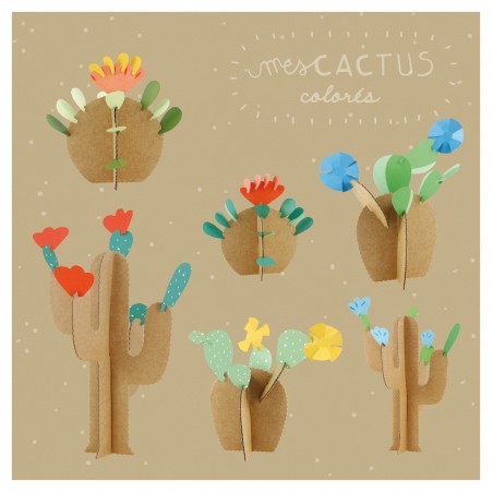 workshop nature cactus