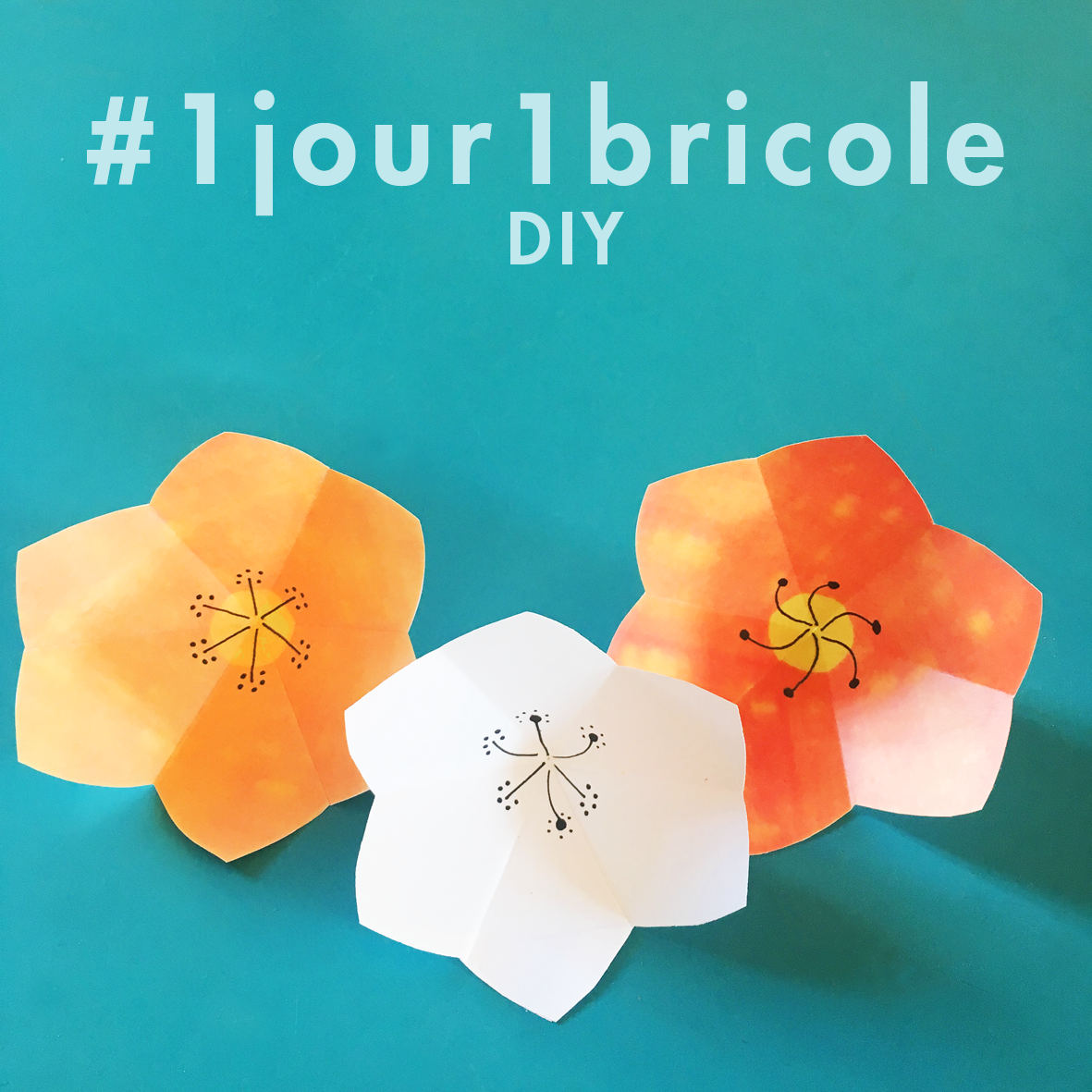 Flowers DIY