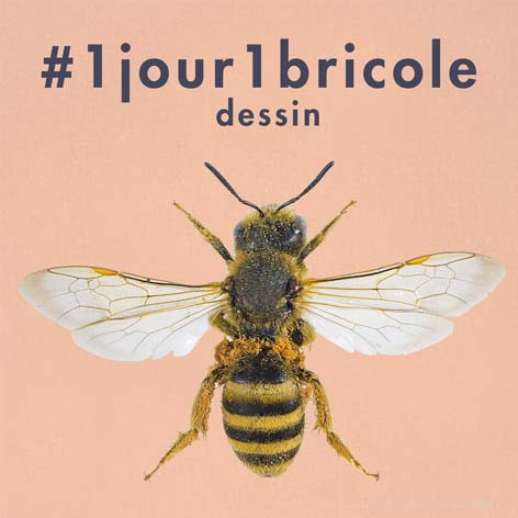 dessin-abeille