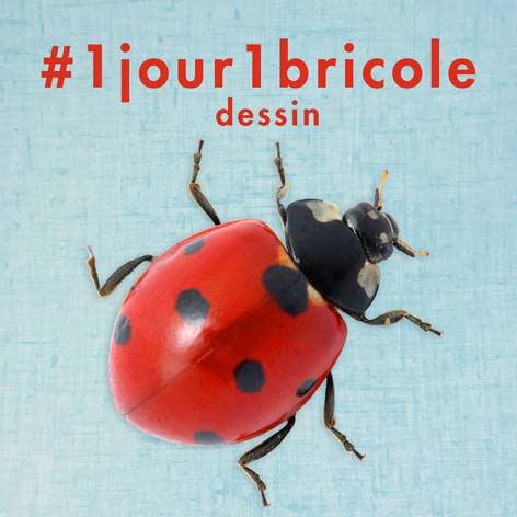 dessin-coccinelle