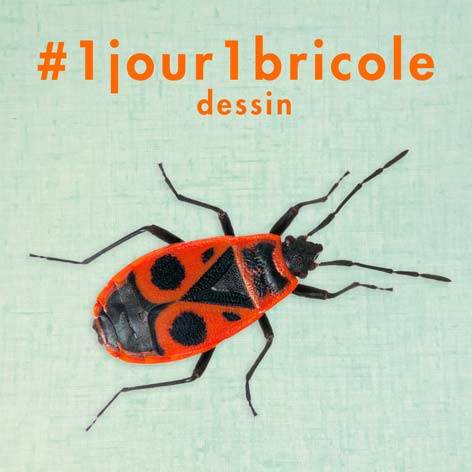 dessin-gendarme-insecte