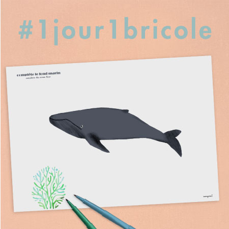 1jour1bricole J9-Dessin des fonds marin